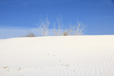 white-sand-nm-7.gif