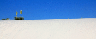 White-Sands-NM.gif