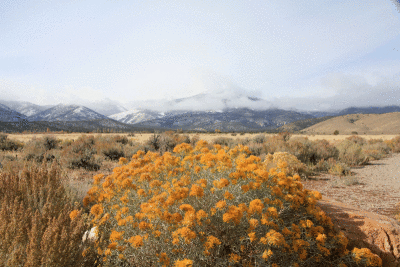 road-21-at-great-basin-4.gif