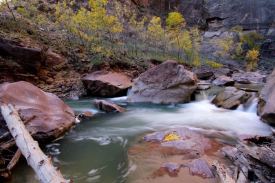 Foliage-zion-4-web.jpg