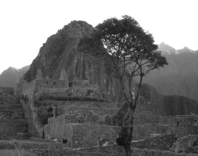 Machu Picchu in black and white 2