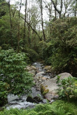 Sendero de Quetzal, Boquete