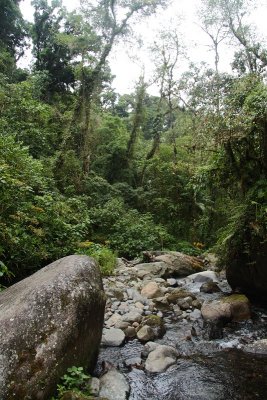 Sendero de Quetzal, Boquete