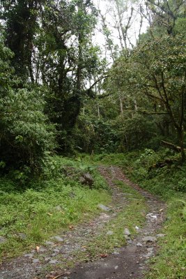 Sendero de Quetzal, Boquete