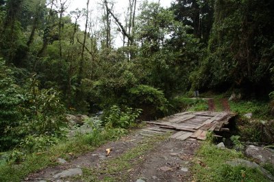 Sendero de Quetzal, Boquete