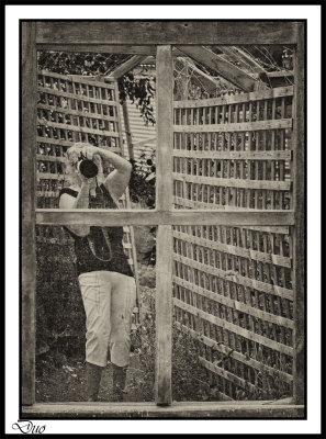 Self Portrait Through A Garden Mirror.