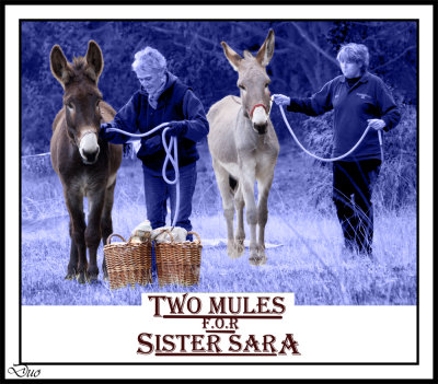 Two Mules For Sister Sara.