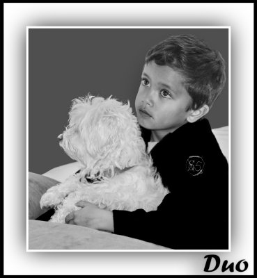 A Boy and His Dog. NFS