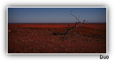 Outback of Broken Hill Where you can see the curvature of the Earth on the Horizon.