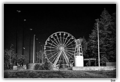 Ferris Wheel In The Park.