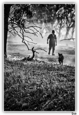 Farm Early Morning Chores.