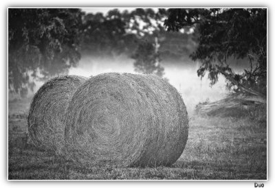 Hay Bales In Summer Morning Mist.