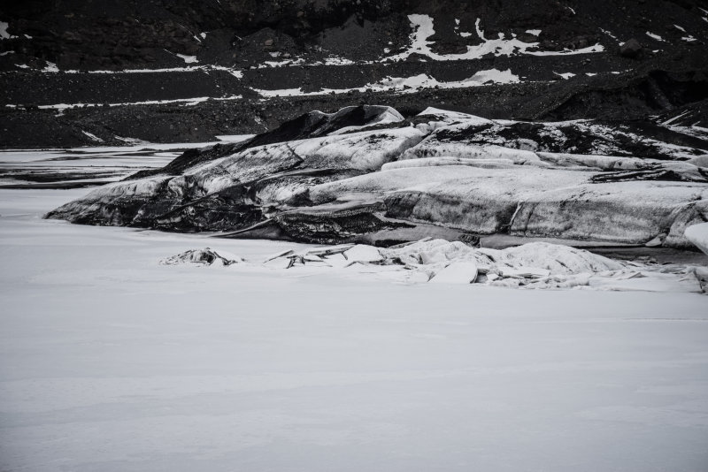 DSC_0445.jpg