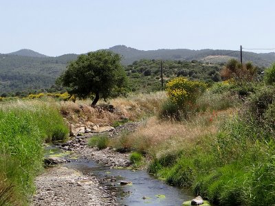 Stream between Achladeri and Skala Vassilikon