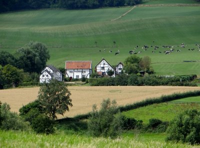 Typical scenery near Epen