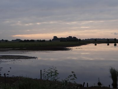 Daybreak at 't Stinkgat near Oud-Vossemeer