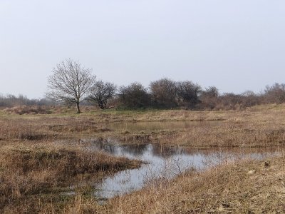 Omgeving Breede Water