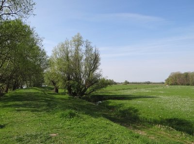 Along the Nieuwe Merwede 