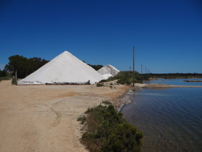 Saltworks at Ludo Farm