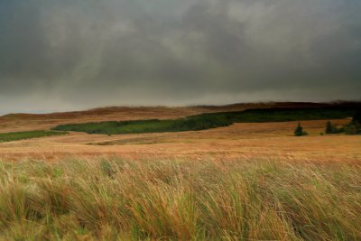 NW Scotland