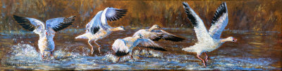 C'est parti! - Huile 8 x 30 - Collection privée