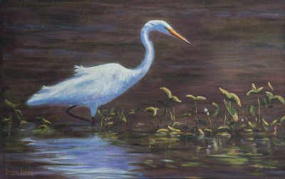 Aigrette flamboyante 18 x 29