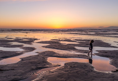 A Walk on the Beach