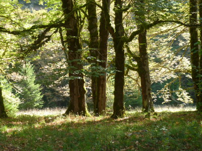 g9/64/1101464/3/152356638.4ThIEKkP.jpg