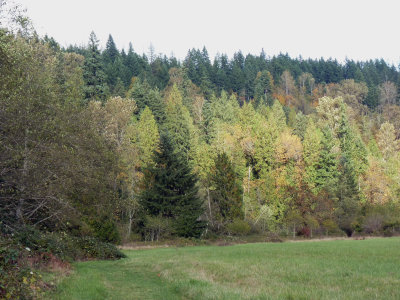 a view of the hay pasture and the encircling hill