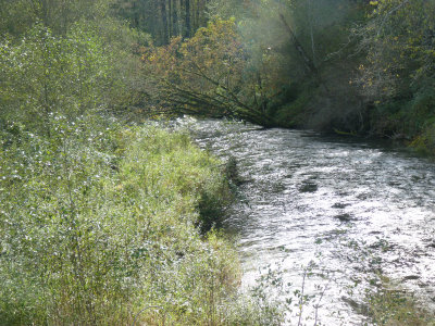 Green River from bridge
