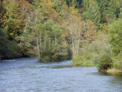 view of the river looking east. 