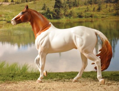 chestnut Paint stallion custom Ashley Moore.jpg