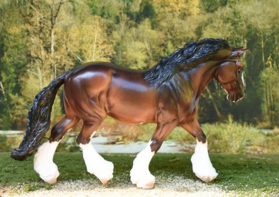 030 Breyer Premier Shire Shannondell M 50th 5.6 ISO 400 sun-y.jpg