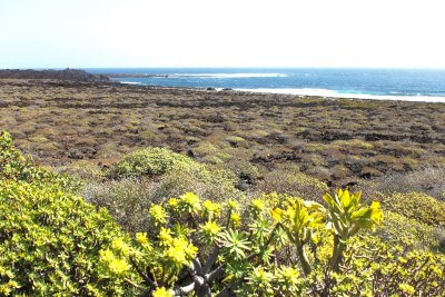 the nature of Lanzarote