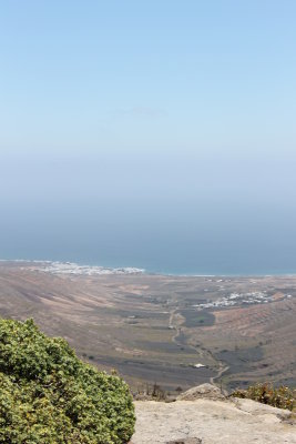 the nature of Lanzarote