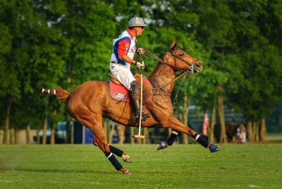 Chukkers For Charity 2007