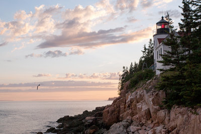 Maine Light House
