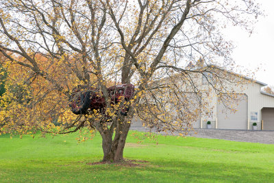 Farmall Nest