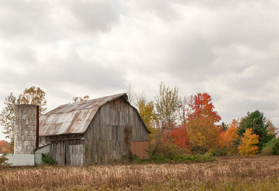 Down on the Farm