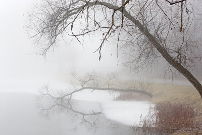 Reflection in the Fog