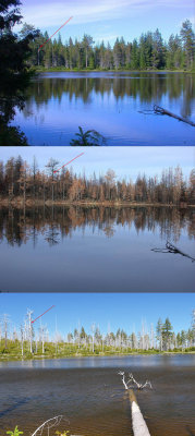 game_lake_before_after_02.jpg