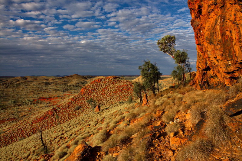 Late Afternoon View - Tanami Road