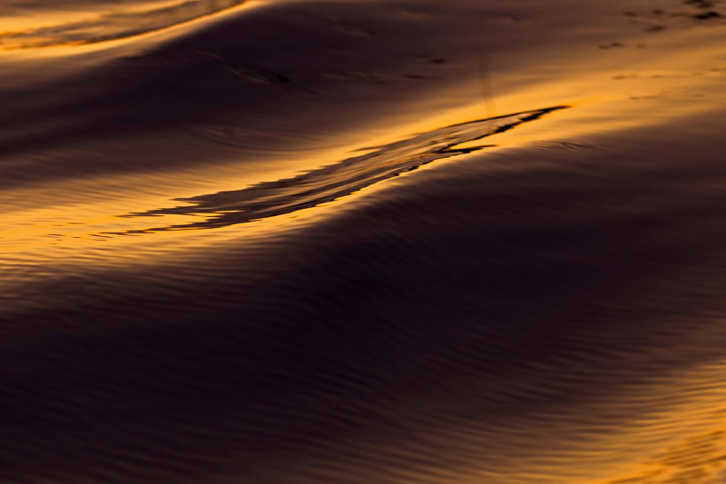 Boat Wake at Sunset III