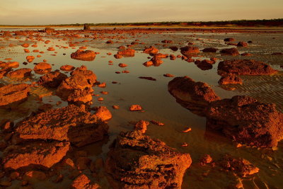 Whale Song Beach - Late Afternoon Sun on Red Rocks