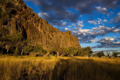 Devonian Reef - Windjana Gorge