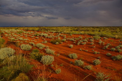 Tanami Road - Near Balgo Turnoff
