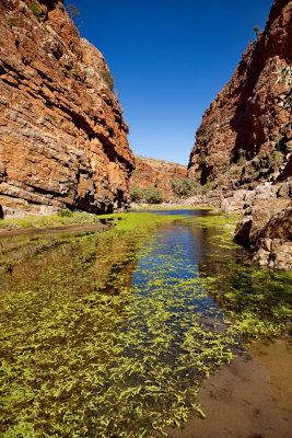 Annies Gorge - Ruby Gap