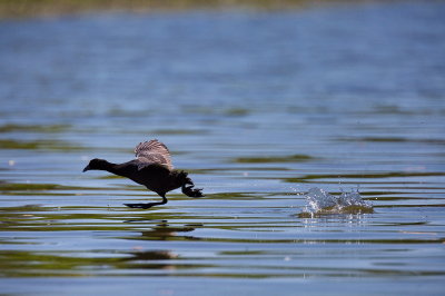 Walking on Water