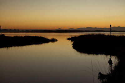 Timberyard Point - Lake Ellesmere.