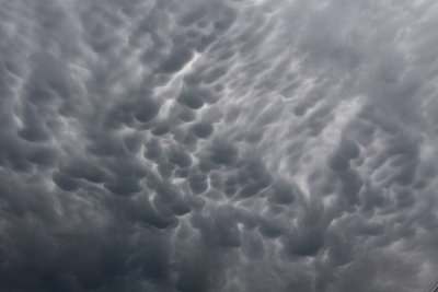 mammatus clouds Sturgeon Bay WI